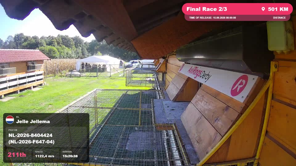 Pigeon Arrival Image For Race Final Race 2/3