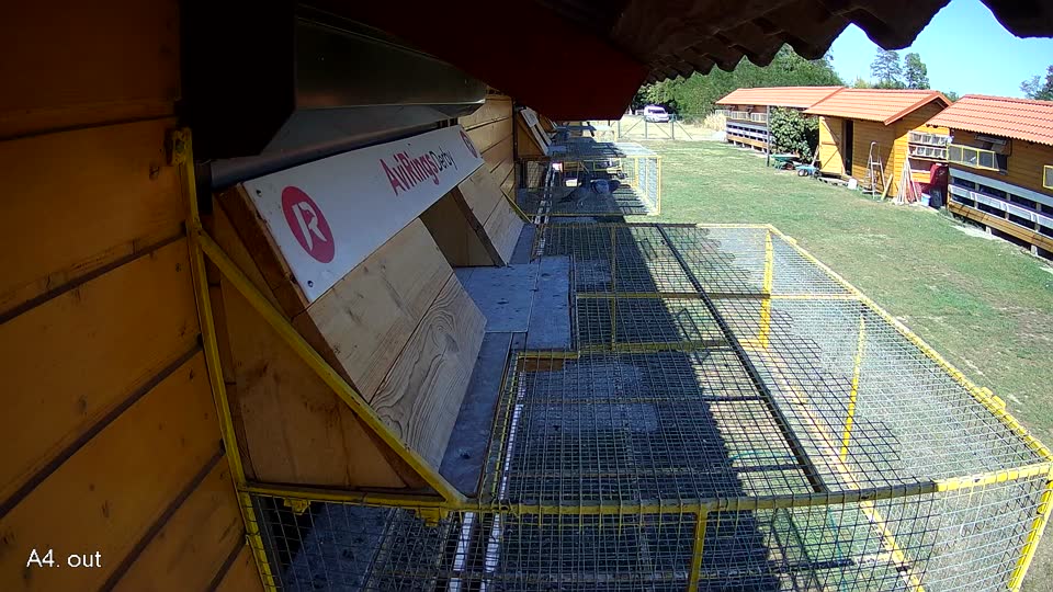 Pigeon Arrival Image For Race Race 3