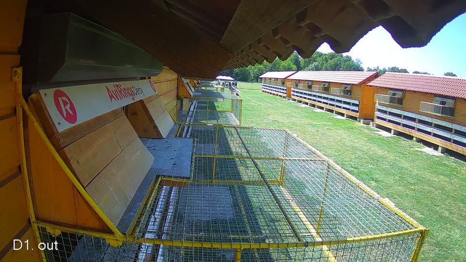 Pigeon Arrival Image For Race Race 5