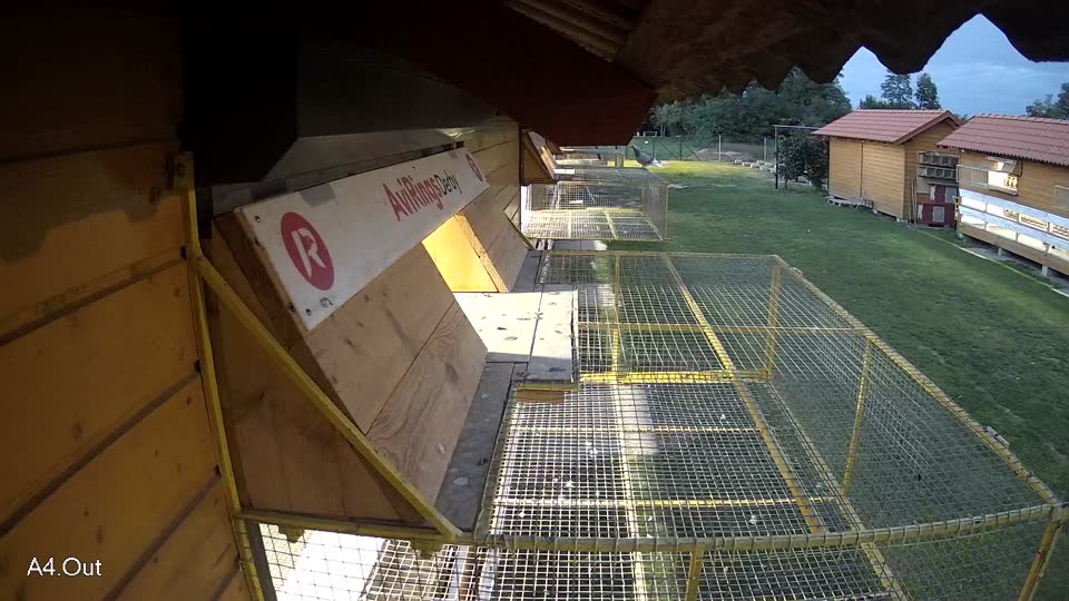 Pigeon Arrival Image For Race Final race 3
