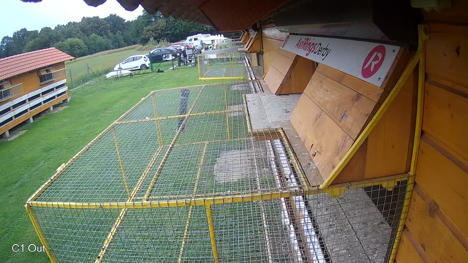 Pigeon Arrival Image For Race Final race 2