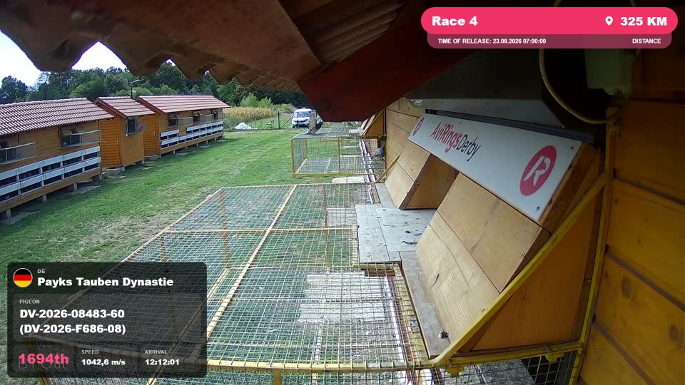 Pigeon Arrival Image For Race Race 4