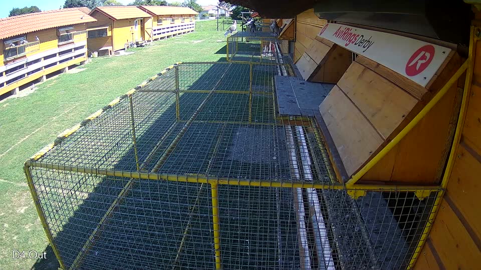 Pigeon Arrival Image For Race Race 2