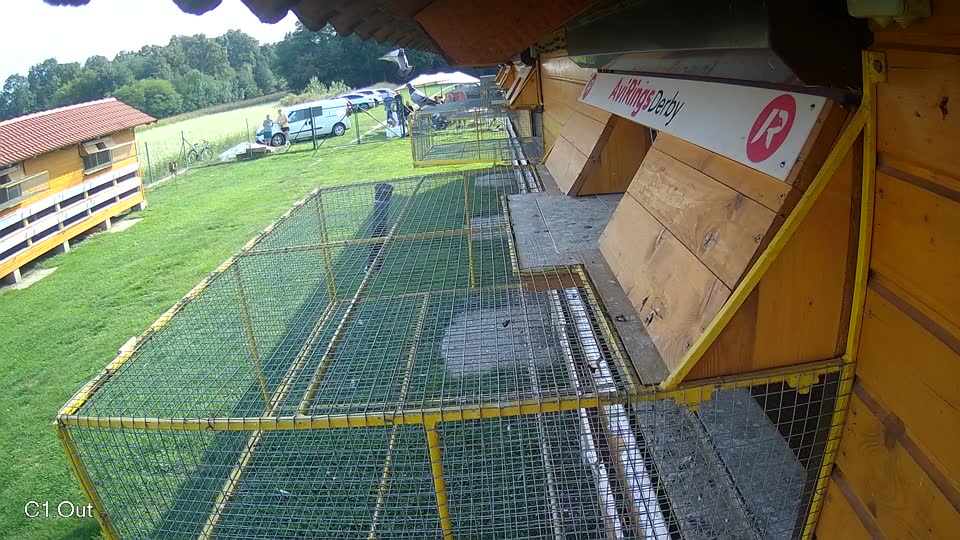 Pigeon Arrival Image For Race Final race 1