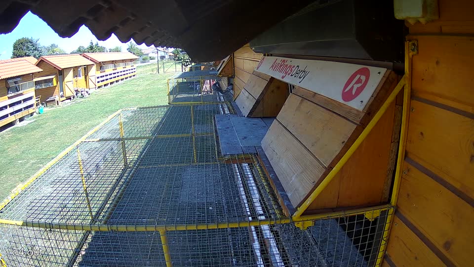 Pigeon Arrival Image For Race Race 3