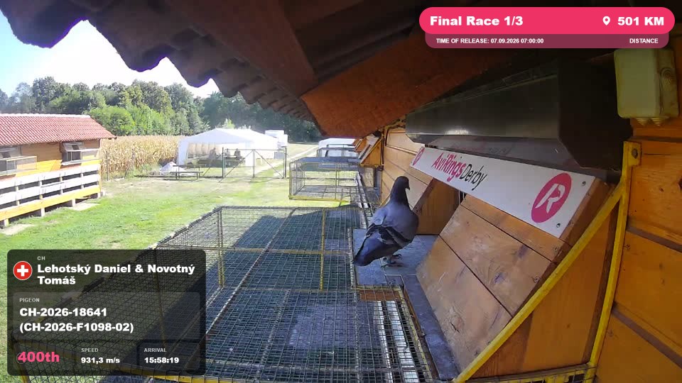 Pigeon Arrival Image For Race Final Race 1/3