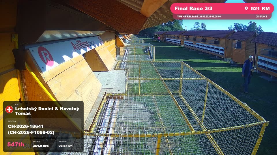 Pigeon Arrival Image For Race Final Race 3/3
