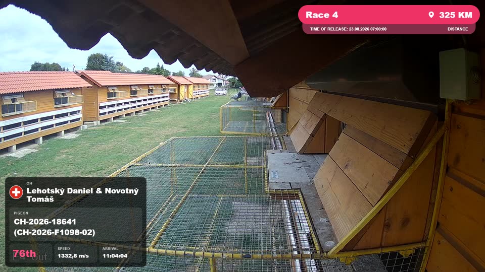 Pigeon Arrival Image For Race Race 4