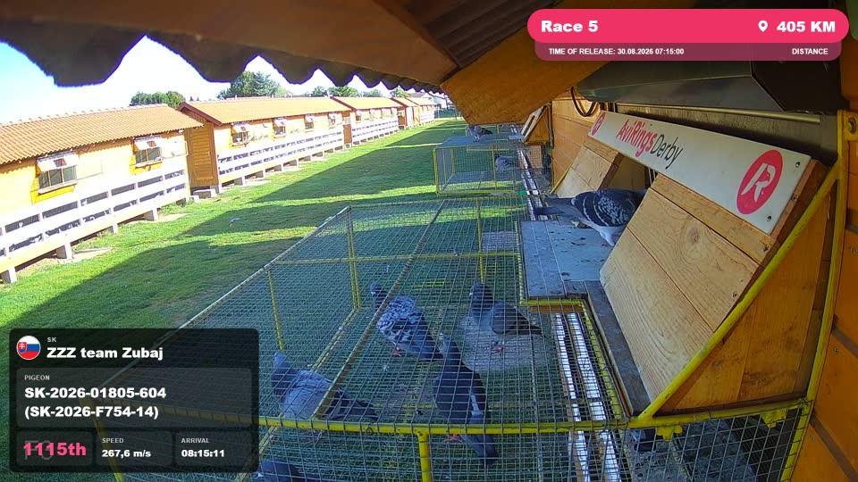 Pigeon Arrival Image For Race Race 5