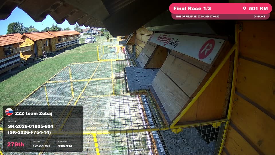 Pigeon Arrival Image For Race Final Race 1/3