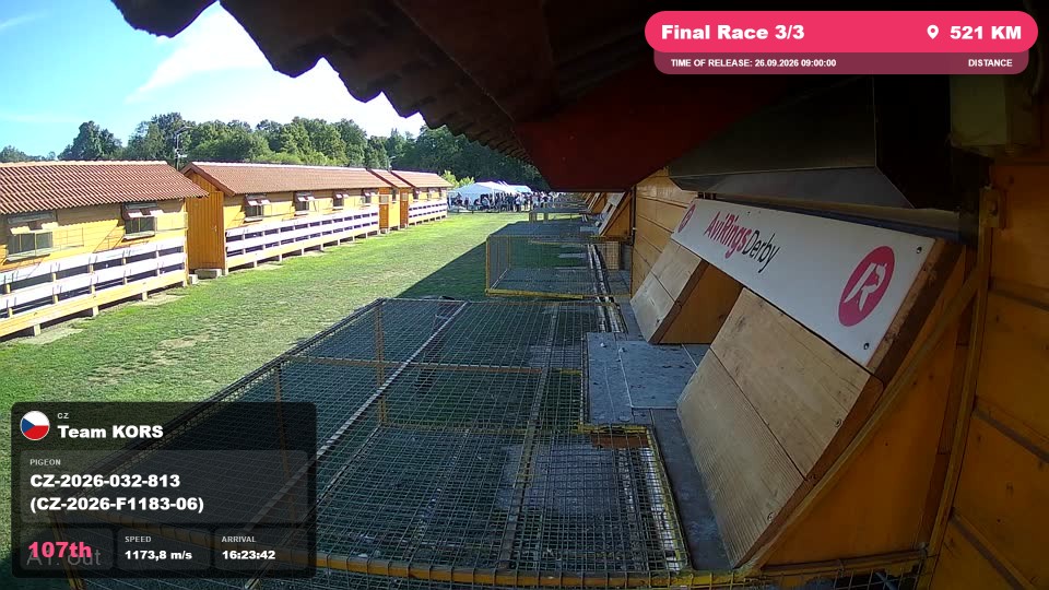 Pigeon Arrival Image For Race Final Race 3/3