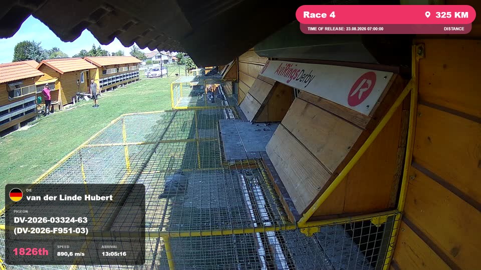 Pigeon Arrival Image For Race Race 4