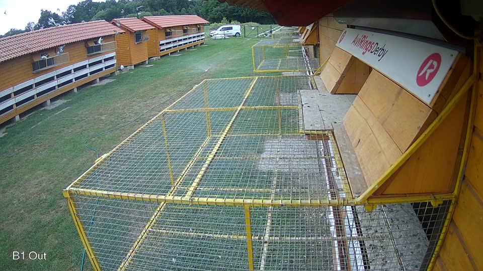 Pigeon Arrival Image For Race Race 3