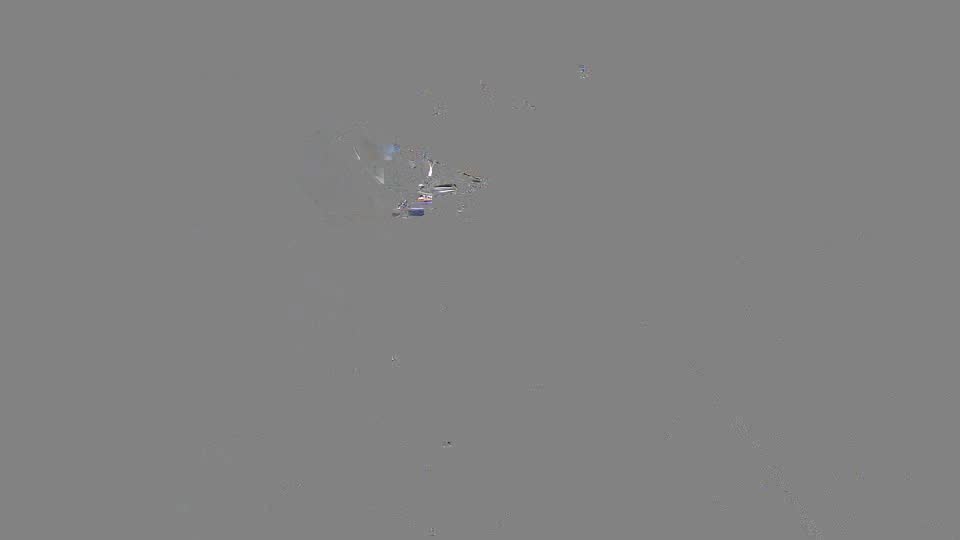 Pigeon Arrival Image For Race Race 2