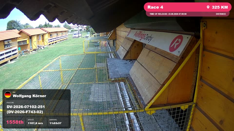Pigeon Arrival Image For Race Race 4