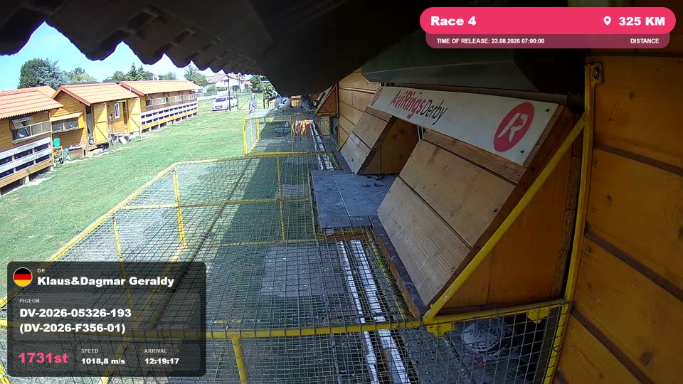 Pigeon Arrival Image For Race Race 4
